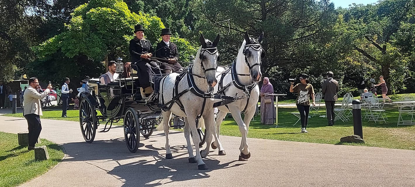 Wedding Carriages south wales 1
