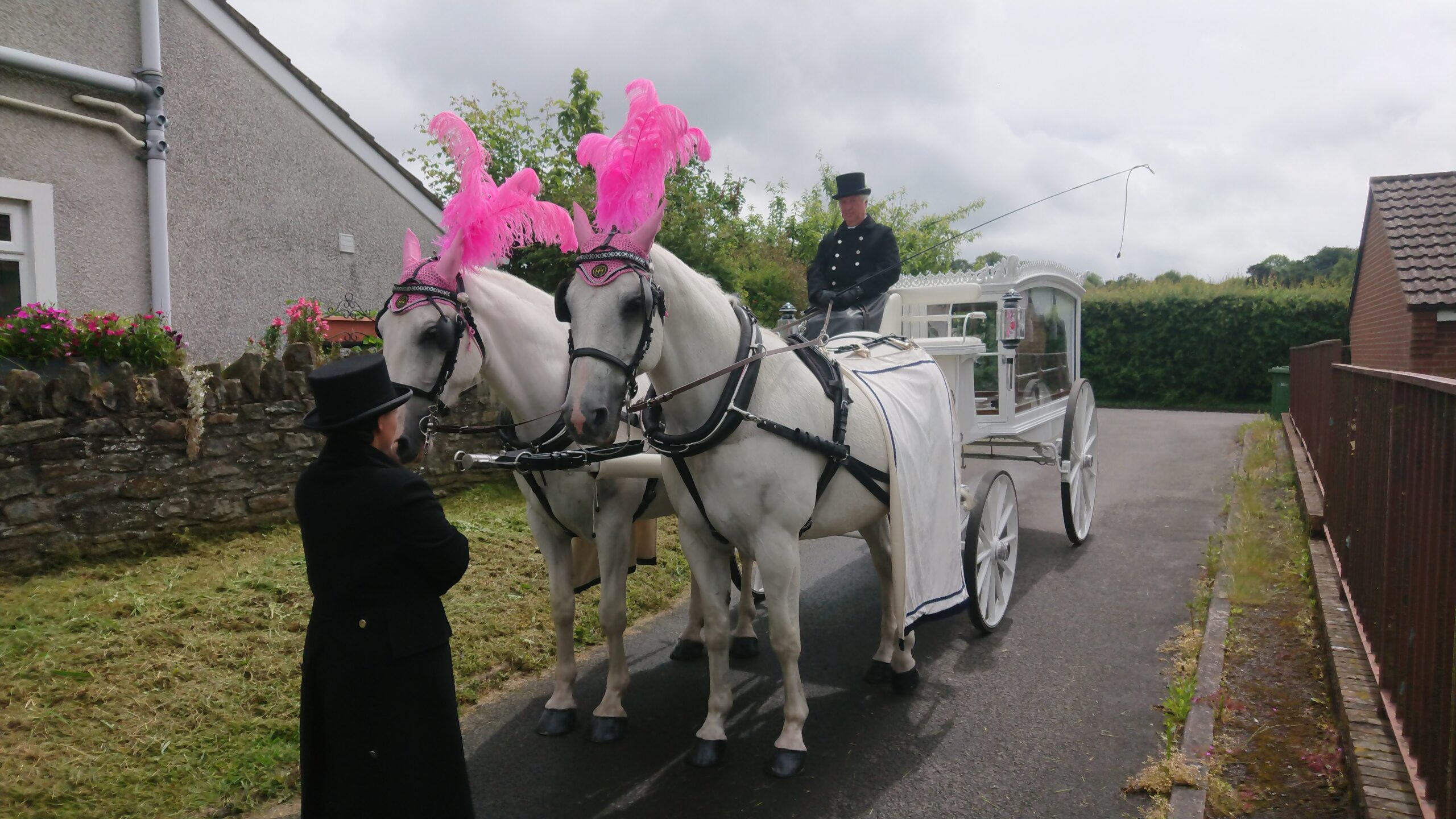 Horse drawn funeral carriage south wales 01