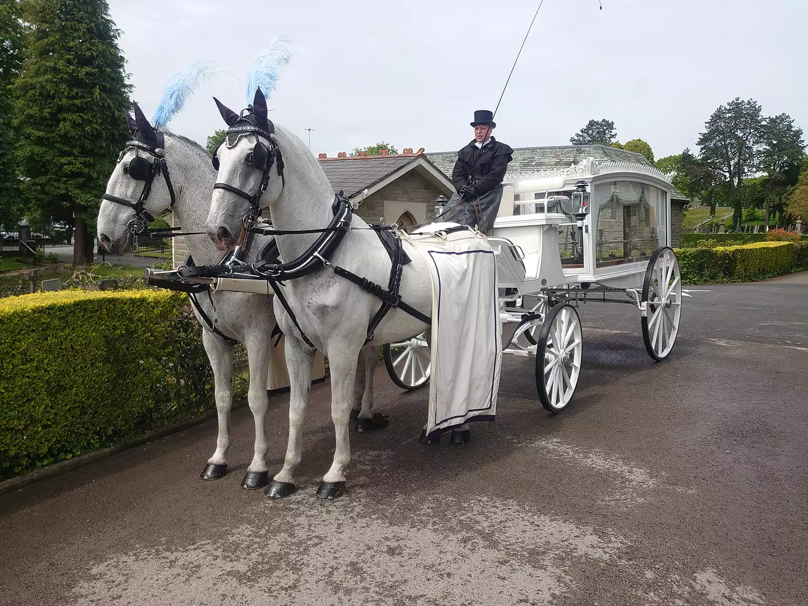 Horse drawn funeral carriage south wales 03