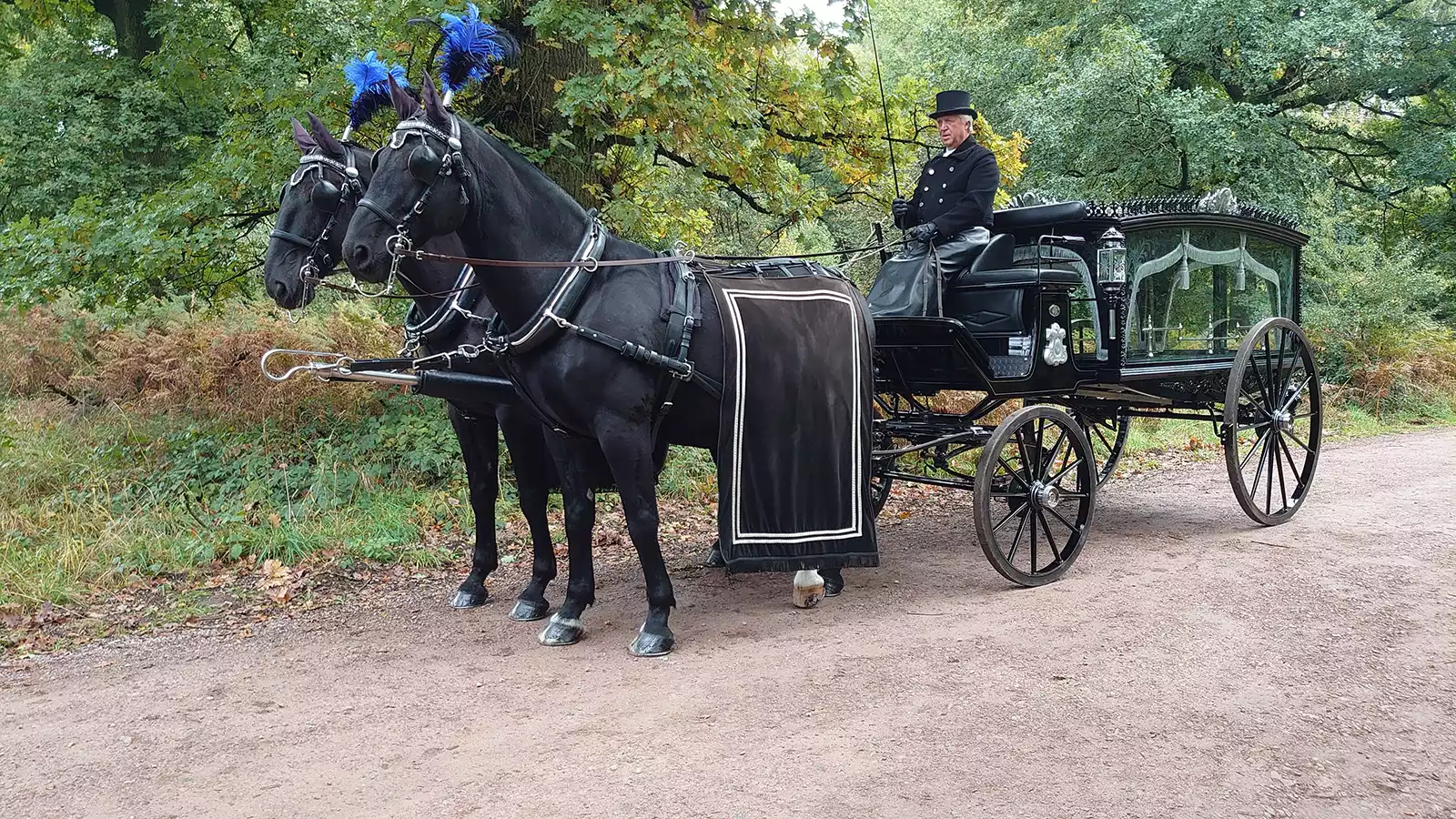 Horse drawn funeral carriage south wales 06