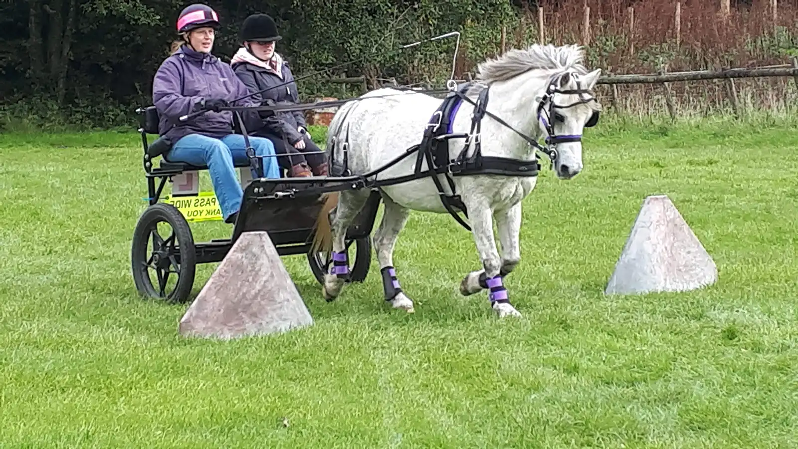Beginners carriage driving lessons with Rowena Moyse 1