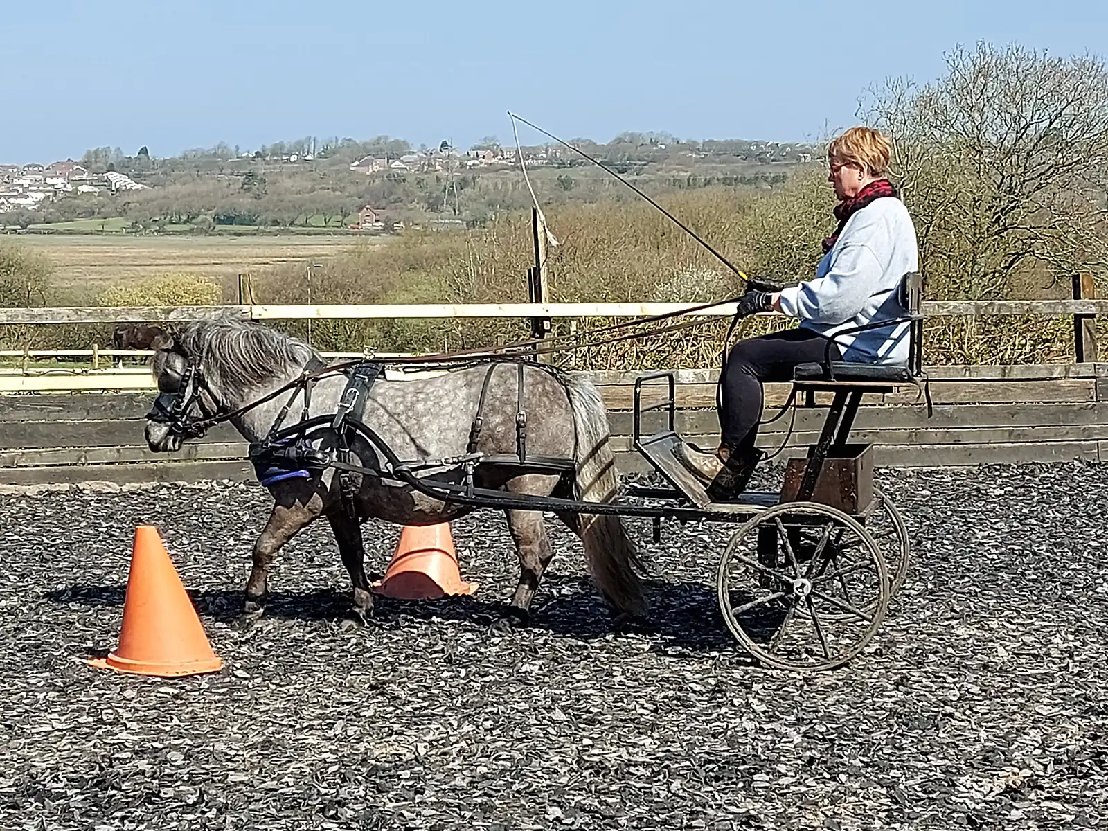 Beginners carriage driving lessons with Rowena Moyse 2