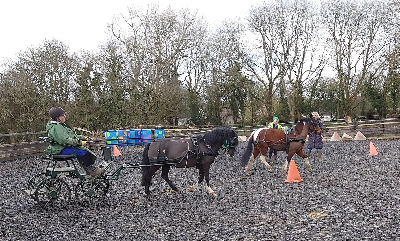 Beginners carriage driving lessons with Rowena Moyse 4
