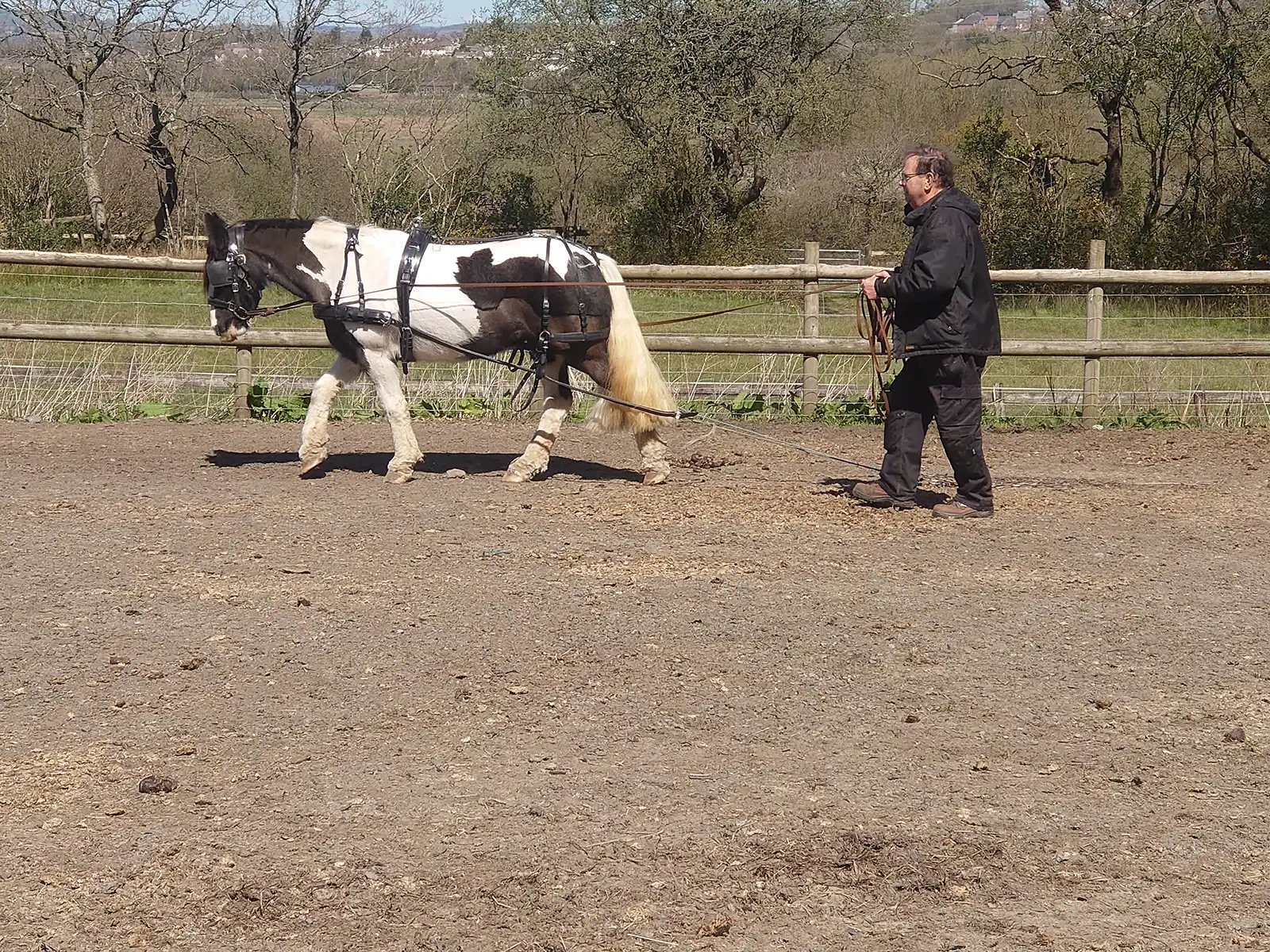 Beginners carriage driving with Rowena Moyse